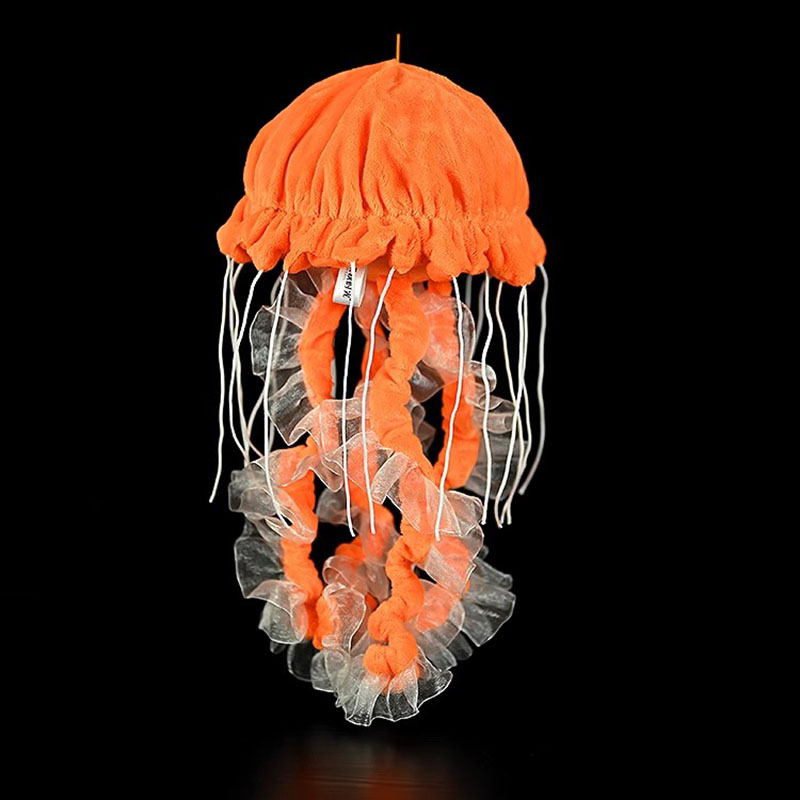 Aquarium Marine Park - Jellyfish Pacific Sea Nettle Ocean Marine