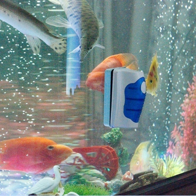 Fish Tank Glass Scraper Cleane - огляд і ціна Marine Aquarium Glass Cleaner