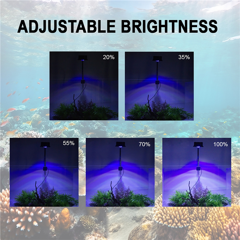 30W Aquarium Fish Tank Sea Wat - огляд і ціна Marine Aquarium Reef