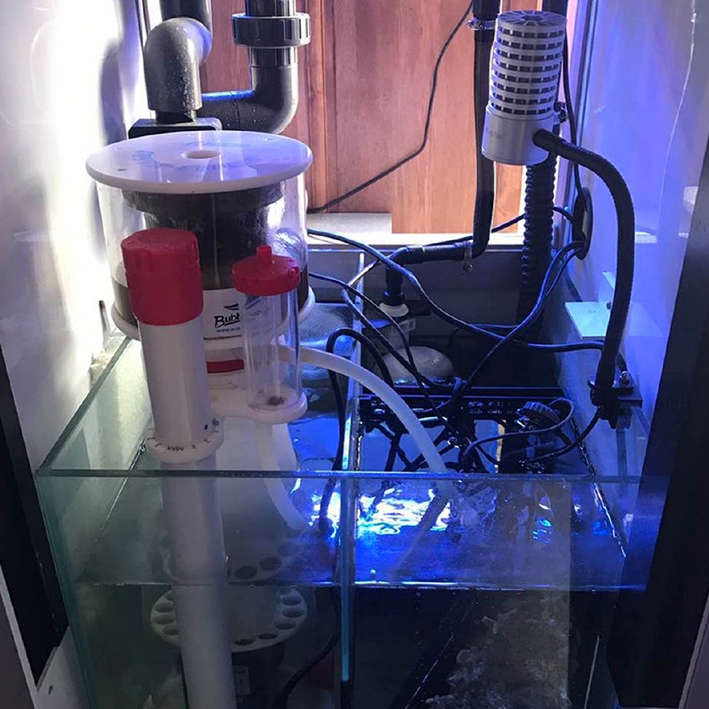 220V Bubble Magus Curve5 Aquar - огляд і ціна Marine Aquarium Aquascape