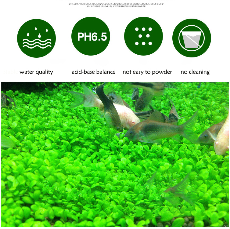 Aquarium Plant Seeds Soil Fish - огляд і ціна Aquarium Marine Sand